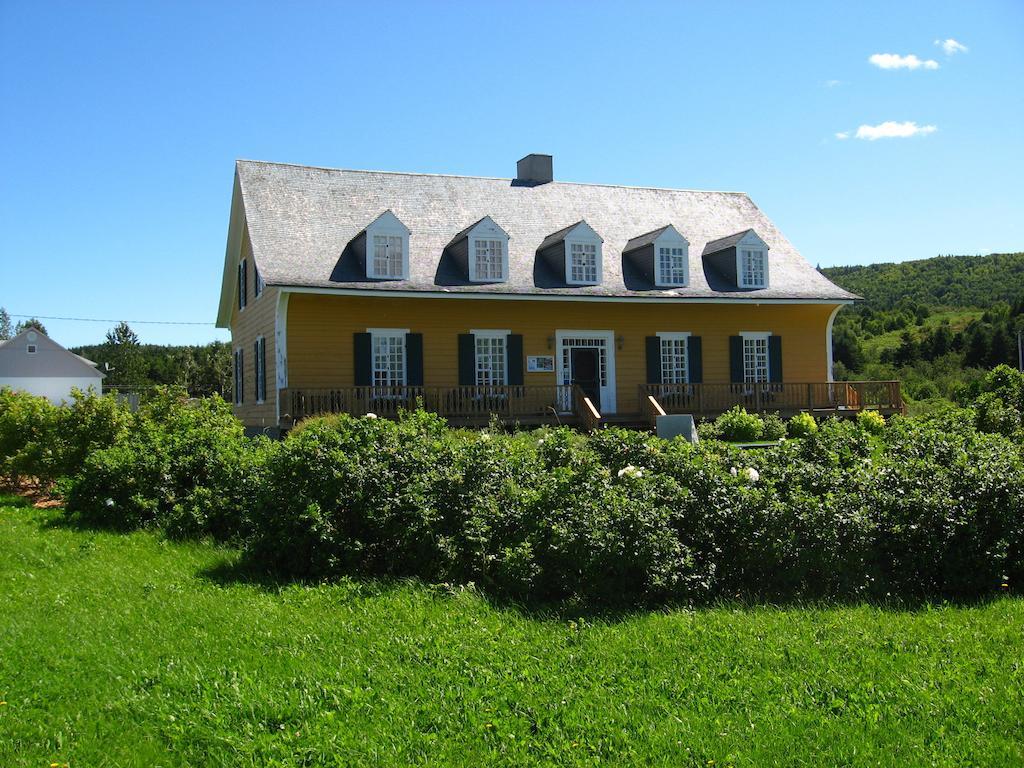 Motel le Noroît L'Anse-au-Griffon Extérieur photo