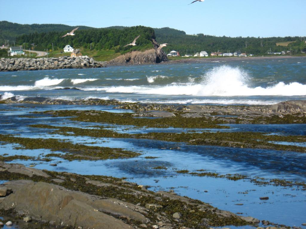 Motel le Noroît L'Anse-au-Griffon Extérieur photo